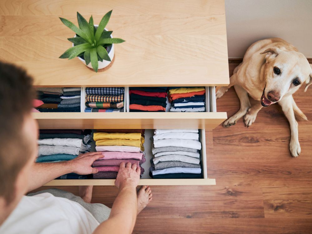 SEGREDO para acabar com as TRAÇAS no guarda-roupa