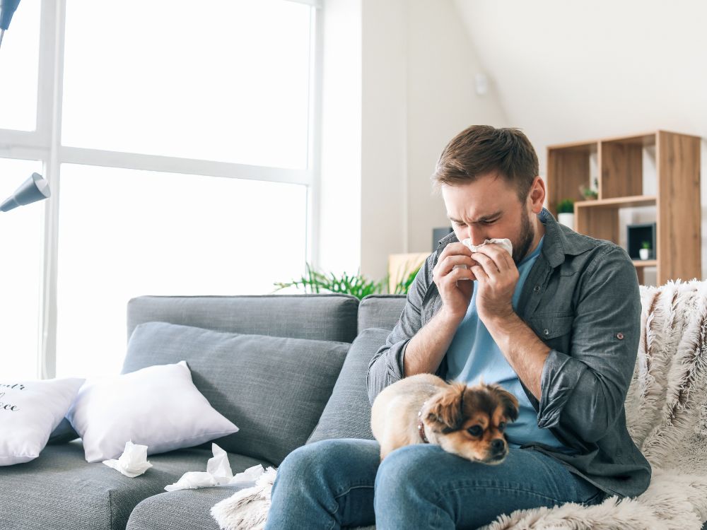 Limpeza para reduzir a alergia em casa: Veja como fazer