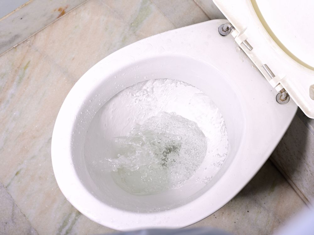 Método para desinfetar vaso sanitário: Conheça o melhor!